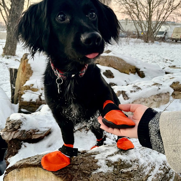 Dog Snow Boots Etsy