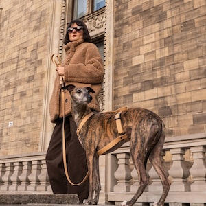 May include: A tan leather dog harness and matching leash set worn by a brindle greyhound. The harness features adjustable straps and metal hardware, providing a secure fit for the dog while maintaining a clean, functional design for daily use.