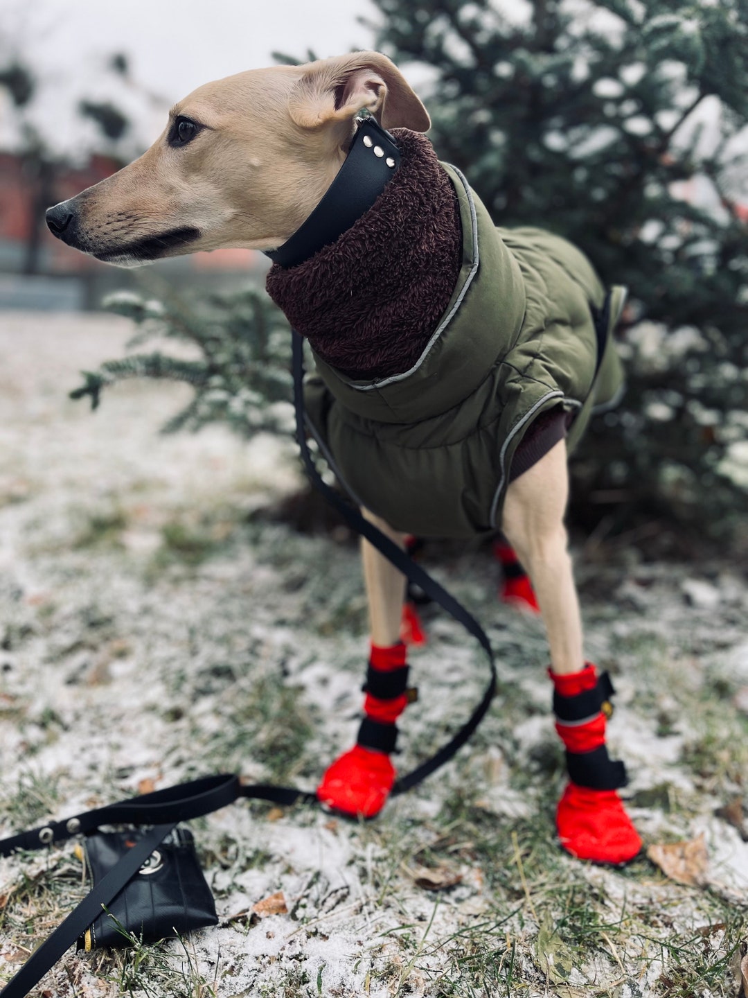 Dog Boots, Cordura, Protect From Cactus, Sled Dog Snow Boots Flint, Gravel, Heat, Cold, Snow