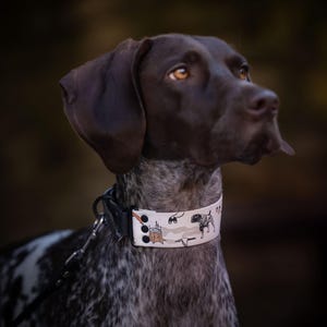 Op de afbeelding: Een bruine en witte Duitse Korthaar met een witte hondenriem met een zwart-witte illustratie van een hond erop. De hond kijkt naar rechts van het frame.
