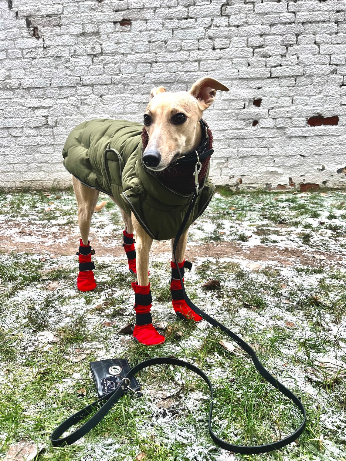 Dog Boots, Cordura, Protect From Cactus, Sled Dog Snow Boots Flint, Gravel, Heat, Cold, Snow