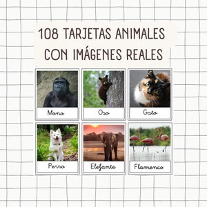Tarjetas Educativas Animales con Imágenes Reales 108 Tarjetas