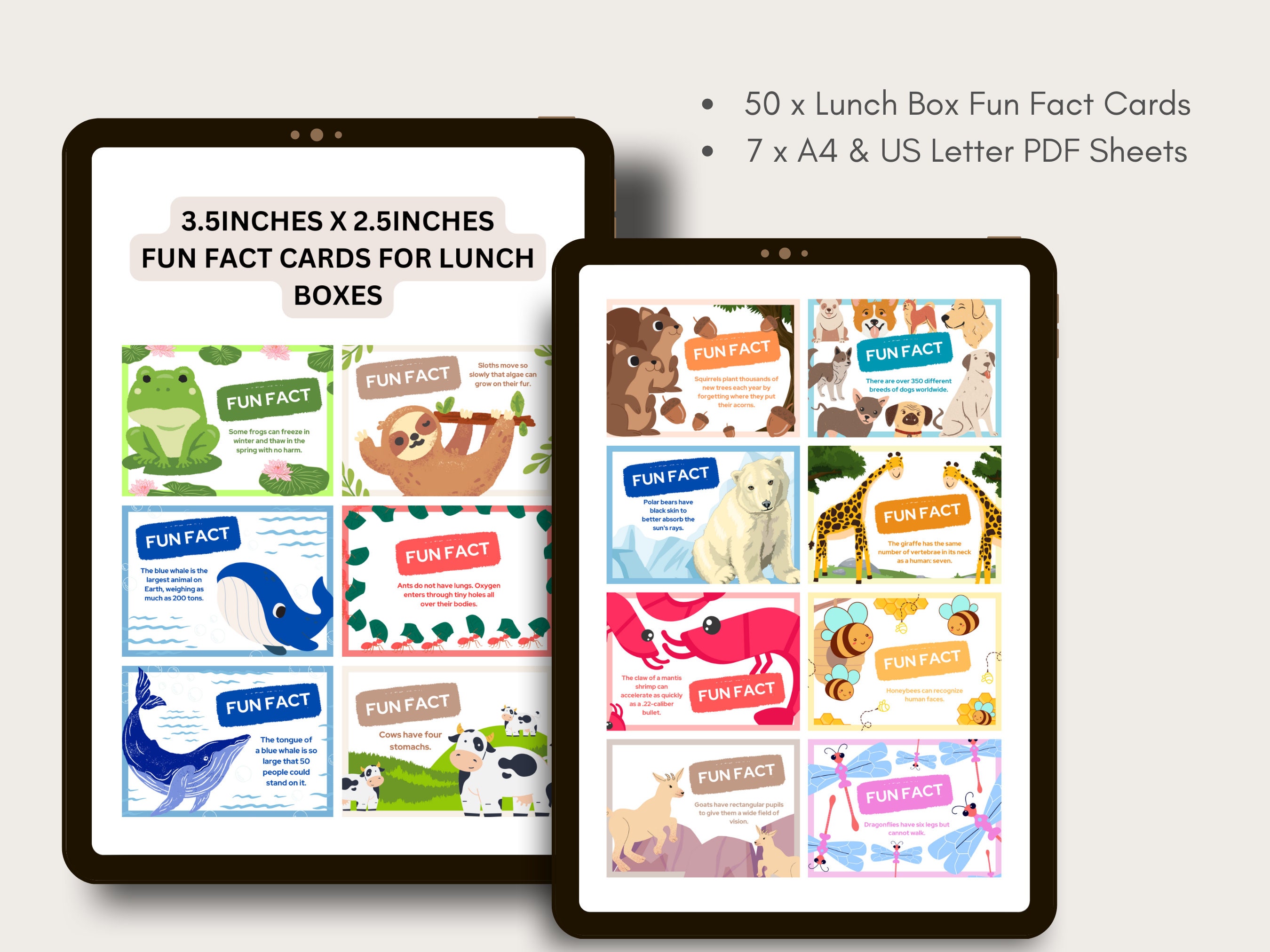 Animal Fact Cards for Children Education Cards for Learning Facts for ...