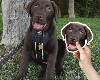 Custom Pet Stickers: Water-Resistant Vinyl Dog Stickers