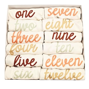 12 Month Gift Box Set, Perfect Baby Shower Gift, Terra Baby Collection