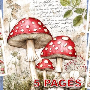 Red Mushroom Shabby Chic Vintage Junk Journal Postcard Ephemera Design Art Commercial License Printable Instant Download Amanita B516