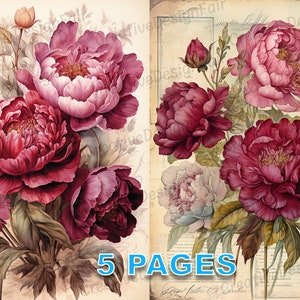 Bourgogne Pivoine Fleurs Carte postale Ephemera Junk Journal Victorien Aquarelle Éléments Licence commerciale Imprimable Téléchargement instantané A411
