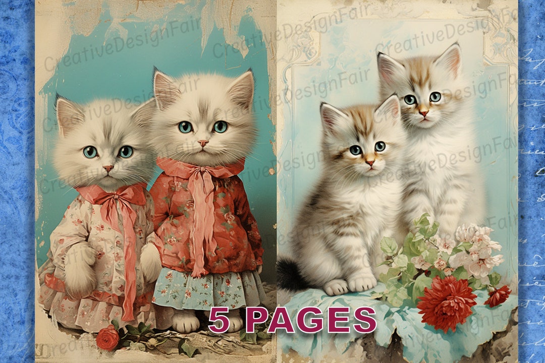 Kitten's Journal Postcard Kitten's Journal Postcard