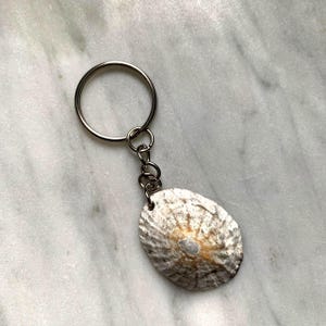 Könnte beinhalten: Ein Schlüsselanhänger mit einem ovalen Anhänger aus einer natürlichen Muschel. Die Muschel ist überwiegend weiß mit braunen und grauen Markierungen. Ein kleiner, silberfarbener Ring verbindet die Muschel mit einer Kette und einem größeren Schlüsselring.