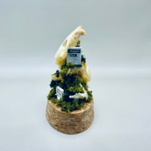 Graveyard Mouse Skull Dome