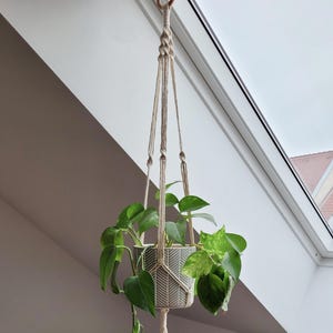 Könnte beinhalten: Ein Makramee-Pflanzenhänger mit einem weißen Seil und einer grünen Topfpflanze, die daran hängt. Die Pflanze steht in einem weißen Topf mit einem geometrischen Muster. Der Hänger hängt an einem Deckenhaken.