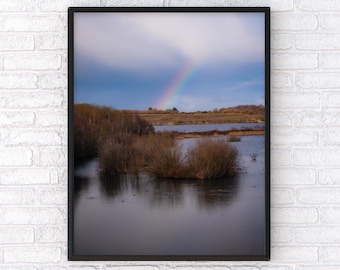 Rainbow Wetlands Landscape Print – Tranquil UK Countryside Wall Art