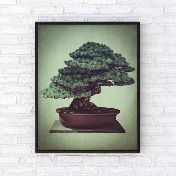 Japanese Bonsai Tree Poster: Vintage Woodblock Style Oriental Wall Art -  Etsy