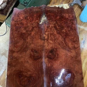 Dillenia indica Burl für Drop Top Gitarren | E-Gitarren Top | E-Bass