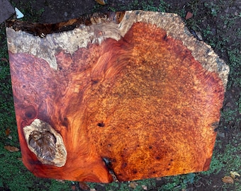 Amboyna Burl Slab For Premium Craft and Hobby | Unique Cutting Board | Rare Item 4