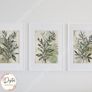 Vintage Olive Tree Branch Sketch Set of 3 Printable Wall Art, High Quality Antique Botanical Prints for Home Decor, Vintage Digital Download