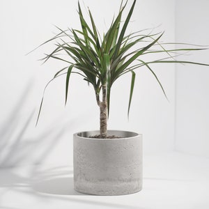 Concrete Circle Planter Handcrafted Unique Plant Pot Cacti Planter Minimalistic Home Decor image 1