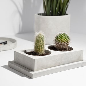 Betonnen dubbele cactusplantenbak Plantpot Cactusbak Luxe handgemaakte plantenbak Minimalistisch huisdecor afbeelding 1