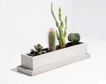Concrete Cacti Planter - Unique Cactus Tray Plant Pot -  Minimalistic Home Decor