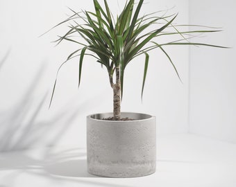 Concrete Circle Planter - Handcrafted Unique Plant Pot Cacti Planter - Minimalistic Home Decor