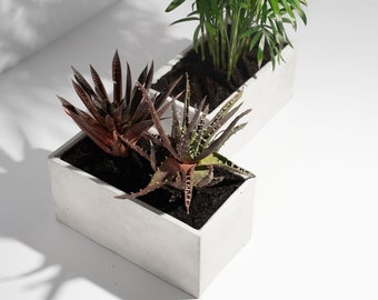 Concrete Rectangle Planter - Handcrafted Unique Plant Pot Cacti Planter - Minimalistic Home Decor