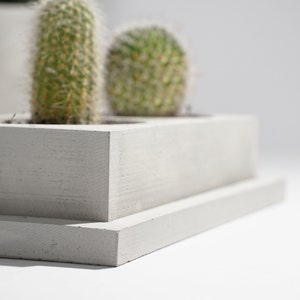 Betonnen dubbele cactusplantenbak Plantpot Cactusbak Luxe handgemaakte plantenbak Minimalistisch huisdecor afbeelding 7