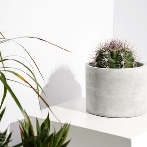 Concrete Circle Planter Handcrafted Unique Plant Pot Cacti Planter Minimalistic Home Decor image 2