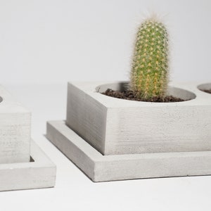 Betonnen dubbele cactusplantenbak Plantpot Cactusbak Luxe handgemaakte plantenbak Minimalistisch huisdecor afbeelding 3