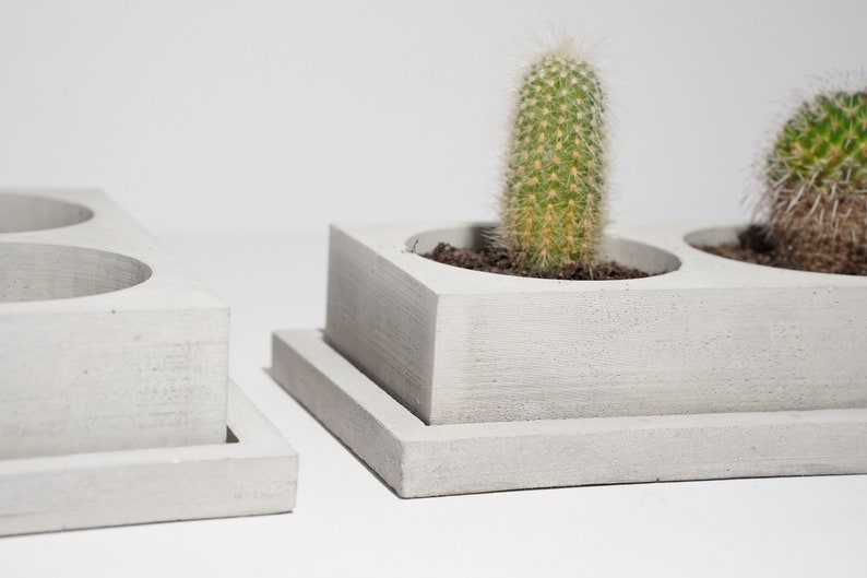 Betonnen dubbele cactusplantenbak Plantpot Cactusbak Luxe handgemaakte plantenbak Minimalistisch huisdecor afbeelding 3