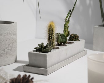 Concrete Cacti Planter - Unique Cactus Tray - Luxury Home Decor Planter - Minimalistic Home decor