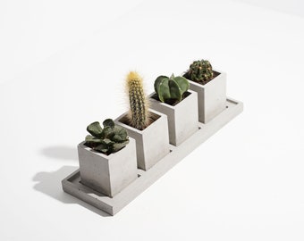Concrete Cacti Planter - Unique Cactus Tray - Luxury Plant Pot Planter - Minimalistic Home Decor