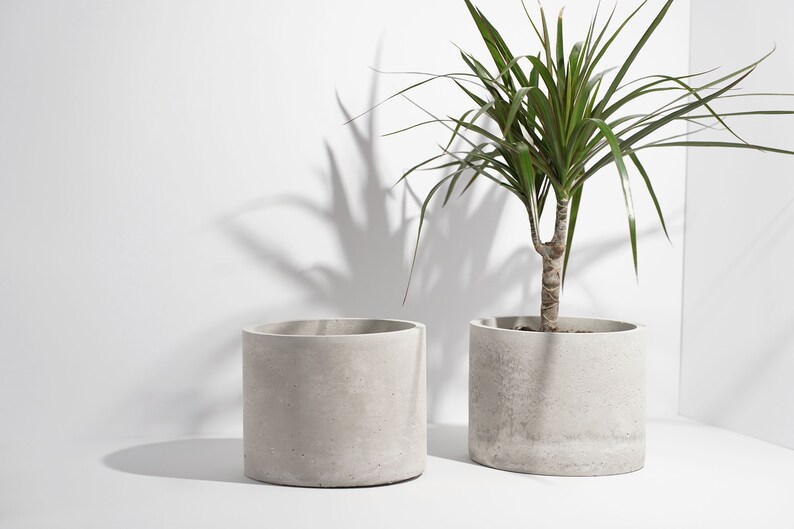 Concrete Circle Planter Handcrafted Unique Plant Pot Cacti Planter Minimalistic Home Decor image 3