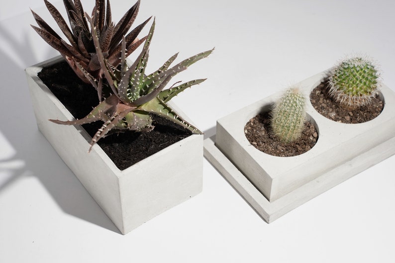 Betonnen dubbele cactusplantenbak Plantpot Cactusbak Luxe handgemaakte plantenbak Minimalistisch huisdecor afbeelding 5