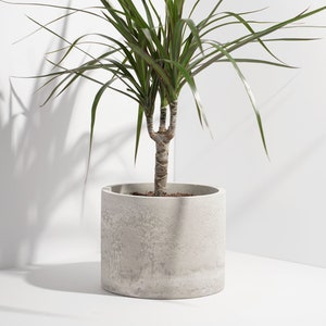 Concrete Circle Planter Handcrafted Unique Plant Pot Cacti Planter Minimalistic Home Decor image 7