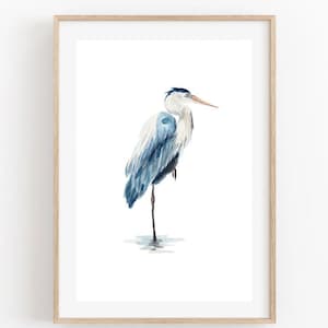 Great Blue Heron Watercolor Poster Print - Coastal Bird Art - Audubon Aquatic