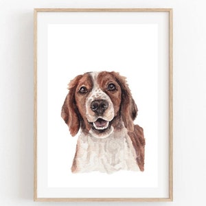 Welsh Springer Spaniel Watercolor Poster Print - Gift for Dog Lover