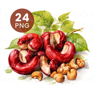 Assorted Nuts, 24 Watercolor PNGs for Junk Journal, Digital Download, Paper Craft, Printable Art, Kitchen Decor, High Quality Clipart