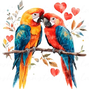 10 stampe romantiche di pappagalli di San Valentino, arte digitale di uccelli innamorati, regalo per anniversario di matrimonio, illustrazione di coppia vibrante