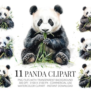Ensemble de 11 cliparts panda aquarelle mignons de pandas mangeant du bambou - art animalier de la forêt pour décoration de chambre d&#39;enfant, travaux manuels pour bébé et sublimation