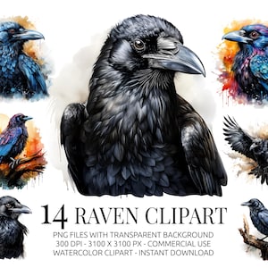 Pacchetto Clipart di Corvi Acquerello - 14 PNG mistici di Corvi con sfondo trasparente - Uccelli gotici per progetti di arte oscura e natura