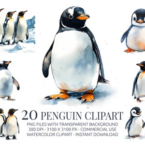 Ensemble de cliparts pingouin - 20 PNG aquarelles de pingouins mignons dans la neige - Art animalier d'hiver pour travaux manuels enfants, décoration de chambre d'enfant et sublimation