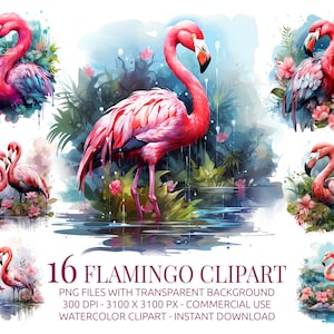 Watercolor Flamingo Clipart – 16 Tropical Bird PNGs with Flowers & Jungle Leaves, Transparent Background, Instant Download, 300 DPI