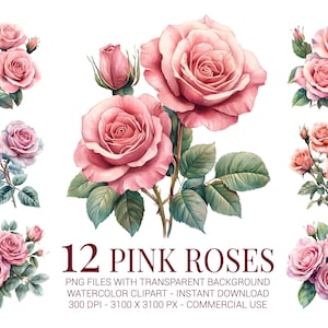 Rosa Rosen Clipart: Frühling, Blumen Kunst, Hochzeitseinladung Design (digitaler Download)