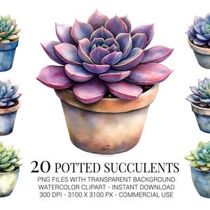 Clipart di piante grasse in vaso, 20 illustrazioni ad acquerello di piante grasse colorate in vasi rustici per sublimazione, artigianato e decorazioni