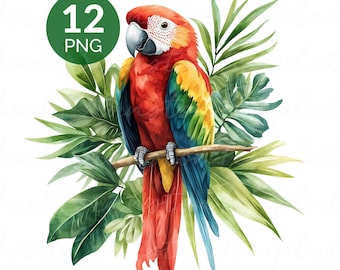Watercolor Tropical Parrot PNG Set