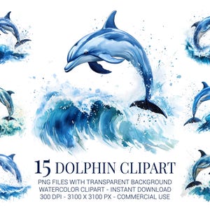 Bundle de cliparts dauphins - 15 dauphins aquarelles PNG pour décoration de plage, projets sous-marins, travaux manuels pour enfants et créations sur le thème de la mer