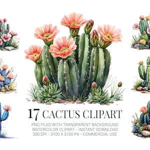Cactus Clipart Bundle – 17 Watercolor PNGs of Blooming Cacti & Succulents for Boho Invitations, Stickers, Scrapbooking and Western Crafts