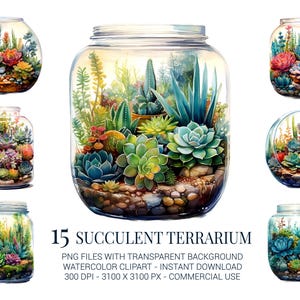 Clipart di terrari succulenti, 15 terrari in barattoli di vetro acquerellati con cactus e piante succulente per adesivi, decorazioni murali e lavoretti ispirati alla natura
