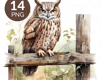 Clipart aquarelle hibou : journal indésirable, créations en papier (téléchargement numérique)