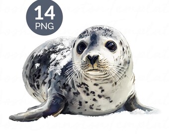 Watercolor Baby Seal PNG Set